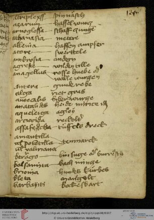 Glossar Pflanzennamen (lat./dt.), alphabetisch strukturiert (nur A–E)