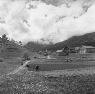 Feldarbeit bei Arzl : Innsbruck-Arzl, Feldarbeit bei Arzl