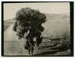 Auf der Straße von Nablus nach el lubban [el-lubban]