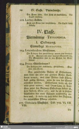 IV. Classe. Viermännige. Tetrandria