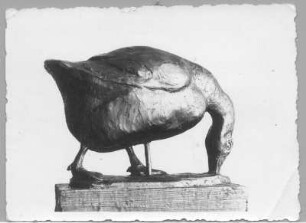 Laufende Gans & Grasende Gans : Grasende Gans. Bronze (vor 1945; E. Richter). Dresden-Südvorstadt, Eisenstuckstraße, Atelier der Künstlerin