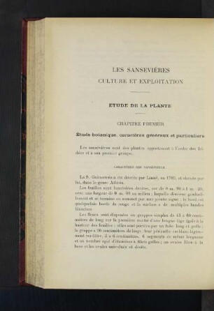 Les Sansevières Culture Et Exploitation.