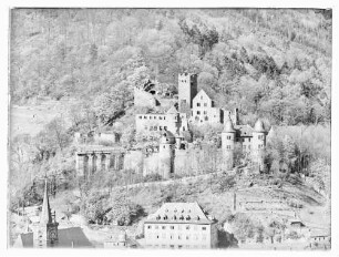 Gesamtansicht Burg Wertheim