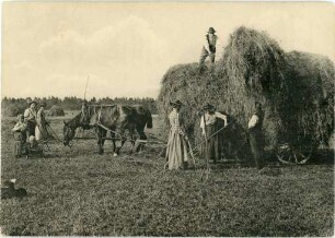 "Heuernte im Schwarzwald"