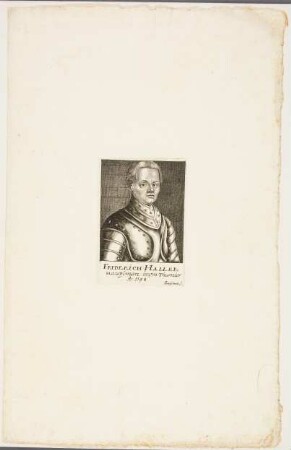 Friedrich Haller (1196)
