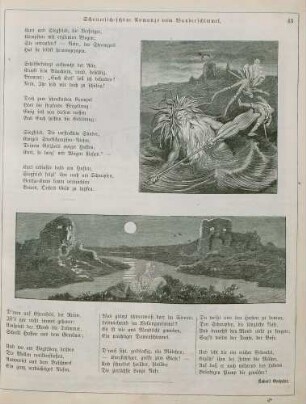 "Schauerlich-schöne Romanze vom Wunderschimmel"