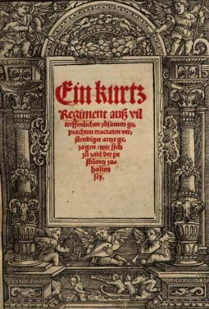 Ein kurtz Regiment, ... wie sich zu zeit[e]n der pestilentz zu halten sey