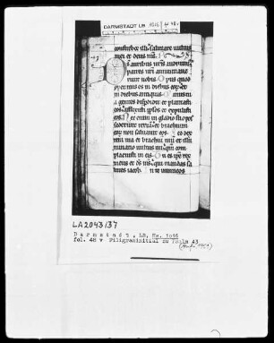 Psalterium — Initiale D, Folio 48 verso