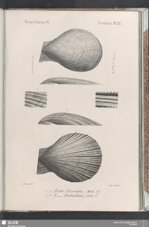 Pl. 437