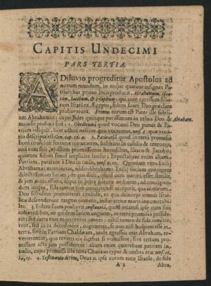 Capitis Undecimi