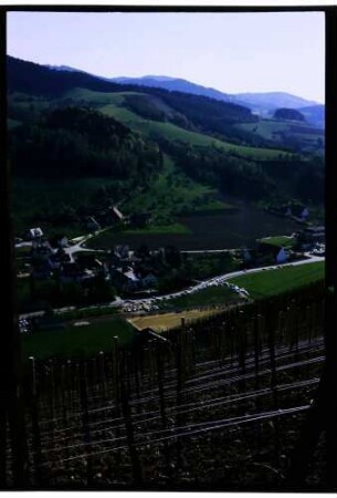 Glottertal, Oberglottertal: Richtung Ohrensbach, Vordergrund Weinberg mit Sportplatz
