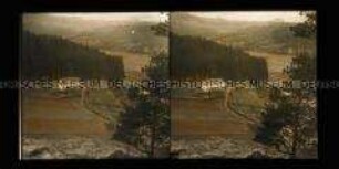 Blick vom Rebenstein zur Hegerheuer