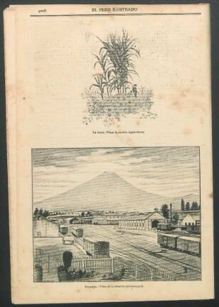 La durra. : (Véase la sección Agricultura)