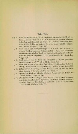 [Erläuterungen zu] Tafel VIII
