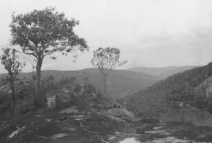 Granitlandschaft : Bergige Landschaft mit Granitfelsen und Bäumen