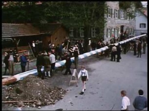 Mitteleuropa, Bayern - Aufstellen des Maibaums in Oderding bei Weilheim