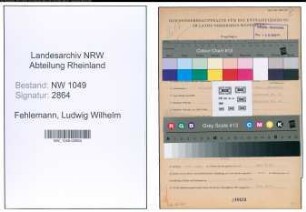 Entnazifizierung Ludwig Wilhelm Fehlemann , geb. 04.01.1892 (Treuhaender)