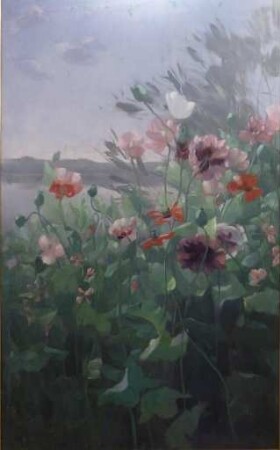 unbenannt [Mohnblumenwiese]
