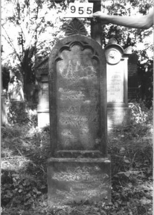 Grabstein 955