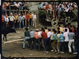 Südwest-Europa, Portugal - Stierkampf in Forcalhos