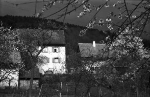 Glotterbad: Häusergruppe und Blüten vor Gewitterhimmel
