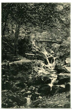 Bad Harzburg. Riesenbachfälle