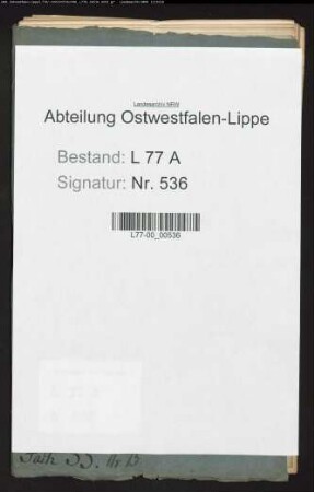 Erneuerung der Hypothekenbücher im Amt Brake