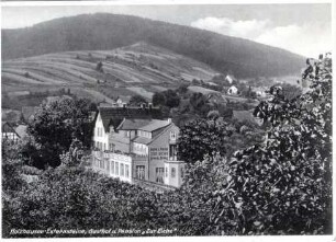 Hotel und Pension "Zur Eiche" Holzhausen/Externsteine
