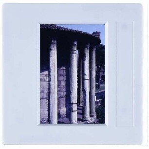 Rom, Tempel der Fortuna Virilis