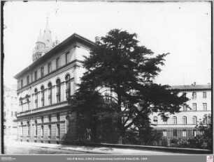 Botanischer Garten von Süden, Senckenbergische Bibliothek mit Eibe