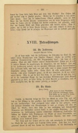XVIII. Betrachtungen.
