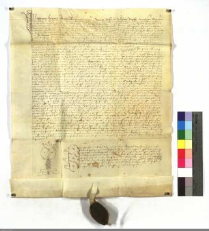 Alexander VI. bestätigt dem D.O. alle früheren Privilegien seiner Vorgänger.