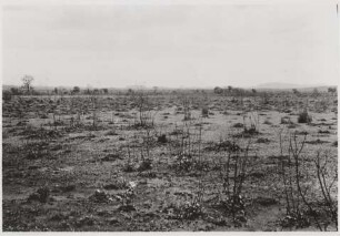 Blick über den Südostausläufer des Pantanal nach Osten : Im Hintergrund: Landstufe nördlich von Aquidauana, Höhe: 190 m