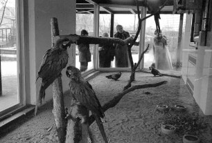 Besuch im neuen Papageienhaus des Karlsruher Zoos