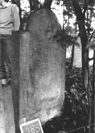 Grabstein 285 (Index: 99894600) Material: Sandstein Zustand: leicht verwittert Maße HxBxT: 131x70x13 cm Beschreibung: Stele mit eingezogenem Rundbogenabschluss Symbolik: Blüte, Blütenkelche: Grabstein 285 (1)
