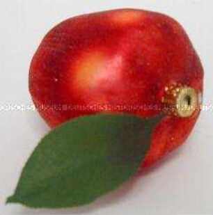 Apfel, rot