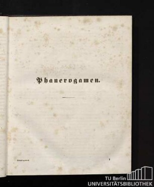 Phanerogamen.