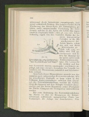 Abb. 128.