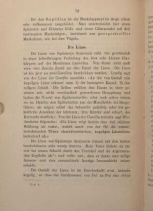 Die Linse