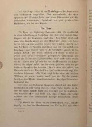Die Linse