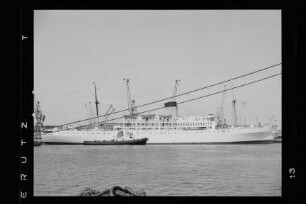 Golfito (1949), Elders & Fyffes Ltd. Glasgow