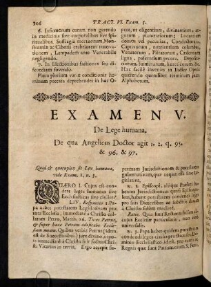 306-350, Examen V