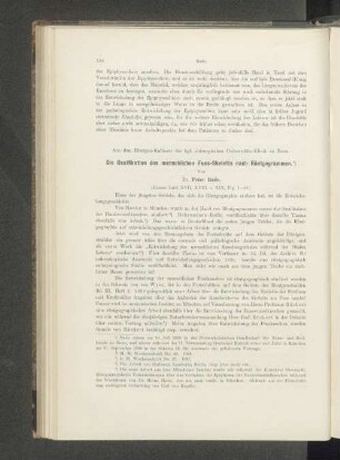 Die Ossifikation des menschlichen Fuss-Skeletts nach Röntgogrammen.