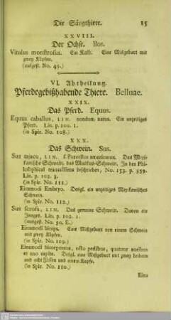 VI. Abtheilung. Pferdegebißhabende Thiere