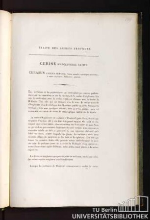 Traité des arbres fruitiers. Cerise d'angleterre hative. Cerasus anglica praecox, fructu rotundo, quandoque subcordato, è rubro nigricante, dulcissimo, praecoci.