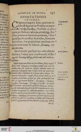Annotationes in verba