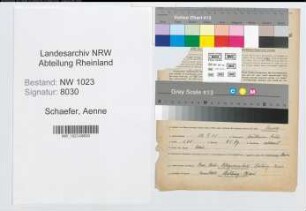 Entnazifizierung Aenne Schaefer , geb. 12.09.1901 (Pflegerin)