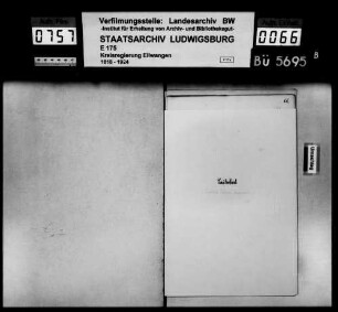 Auswanderungen, Lautenbach mit Teilgemeinden Bernhardsweiler, Neustädtlein und Rötlein