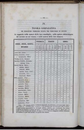 IV. Tavola Comparativa