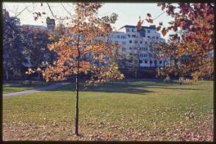 Blick in den Volkspark Wilmersdorf